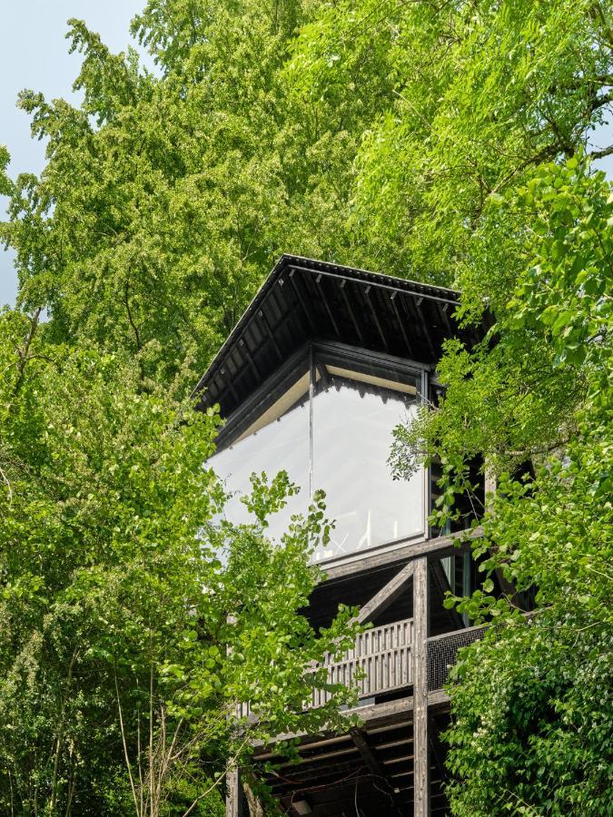 Hutstuf The Beaver & Private Outdoor Spa La-Roche-en-Ardenne Εξωτερικό φωτογραφία